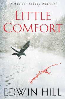 Book cover of Little Comfort