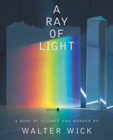 Book cover of A Ray of Light