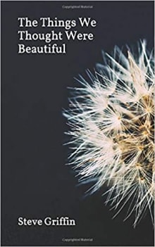 Book cover of The Things We Thought Were Beautiful