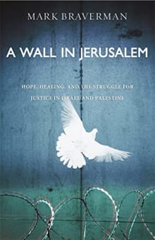 Book cover of A Wall in Jerusalem: Hope, Healing, and the Struggle for Justice in Israel and Palestine