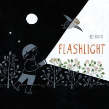 Book cover of Flashlight