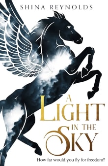 Book cover of A Light in the Sky