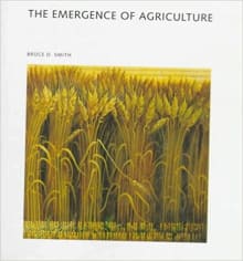 Book cover of The Emergence of Agriculture