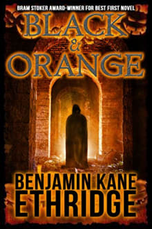 Book cover of Black & Orange