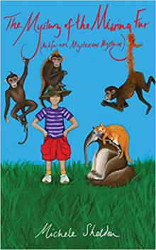 Book cover of The Mystery of The Missing Fur