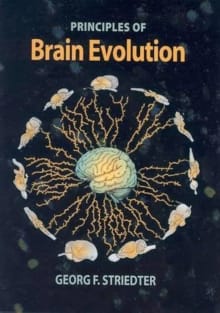 Book cover of Principles of Brain Evolution