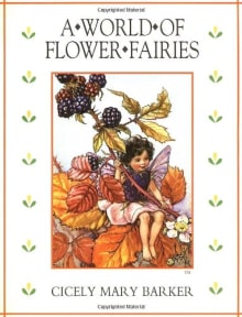 Book cover of A World of Flower Fairies