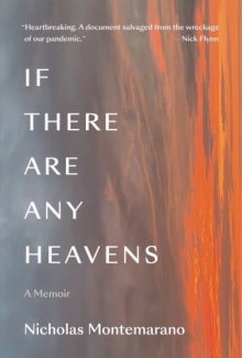 Book cover of If There Are Any Heavens: A Memoir