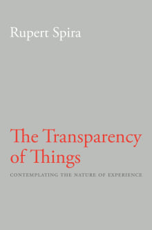 Book cover of The Transparency of Things: Contemplating the Nature of Experience