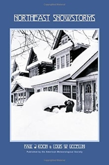 Book cover of Northeast Snowstorms: Overview v. 1