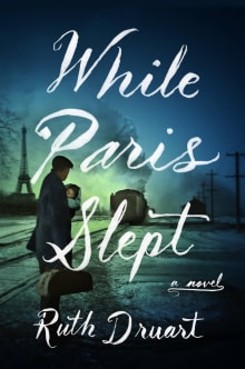 Book cover of While Paris Slept