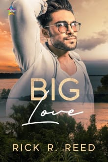 Book cover of Big Love