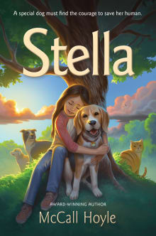 Book cover of Stella