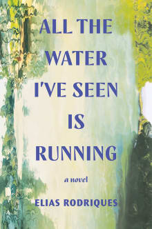 Book cover of All the Water I've Seen Is Running