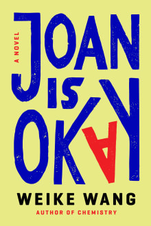 Book cover of Joan Is Okay