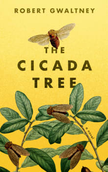 Book cover of The Cicada Tree