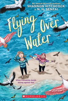 Book cover of Flying Over Water
