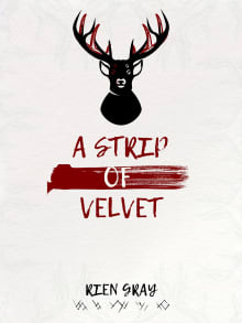 Book cover of A Strip of Velvet