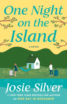 Book cover of One Night on the Island