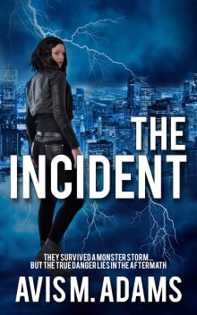 Book cover of The Incident