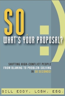 Book cover of So, What's Your Proposal? Shifting High-Conflict People from Blaming to Problem-Solving in 30 Seconds!