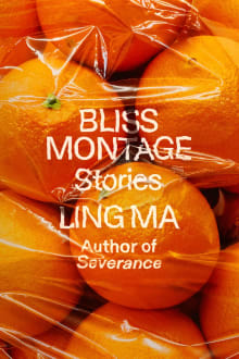 Book cover of Bliss Montage: Stories