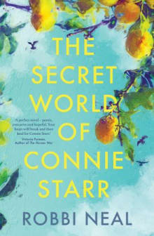 Book cover of The Secret World of Connie Starr