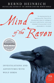 Book cover of Mind of the Raven: Investigations and Adventures with Wolf-Birds