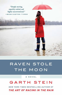 Book cover of Raven Stole the Moon