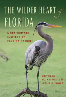 Book cover of The Wilder Heart of Florida