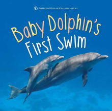 Book cover of Baby Dolphin's First Swim