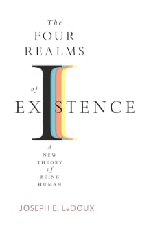 Book cover of The Four Realms of Existence: A New Theory of Being Human