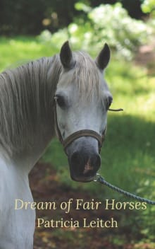 Book cover of Dream of Fair Horses