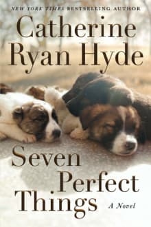 Book cover of Seven Perfect Things