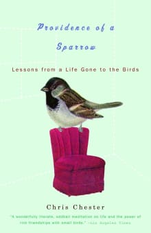 Book cover of Providence of a Sparrow: Lessons from a Life Gone to the Birds