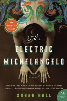 Book cover of The Electric Michelangelo