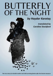 Book cover of Butterfly of the Night