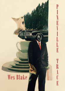 Book cover of Pineville Trace