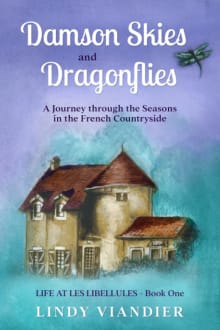 Book cover of Damson Skies and Dragonflies