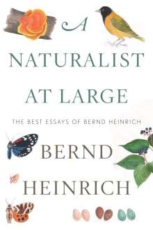 Book cover of A Naturalist at Large: The Best Essays of Bernd Heinrich