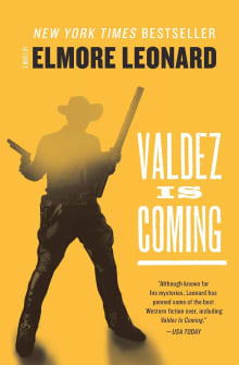 Book cover of Valdez Is Coming