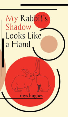 Book cover of My Rabbit's Shadow Looks Like a Hand