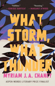 Book cover of What Storm, What Thunder