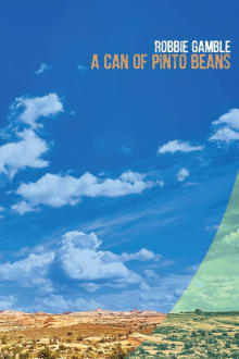 Book cover of A Can of Pinto Beans