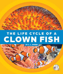 Book cover of The Life Cycle of a Clown Fish