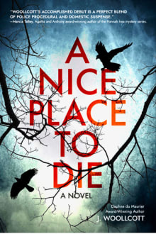 Book cover of A Nice Place to Die: A DS Ryan McBride Novel