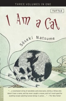 Book cover of I Am a Cat (Bilingual)