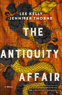 Book cover of The Antiquity Affair