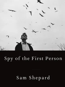 Book cover of Spy of the First Person