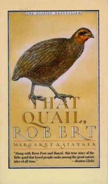 Book cover of That Quail, Robert